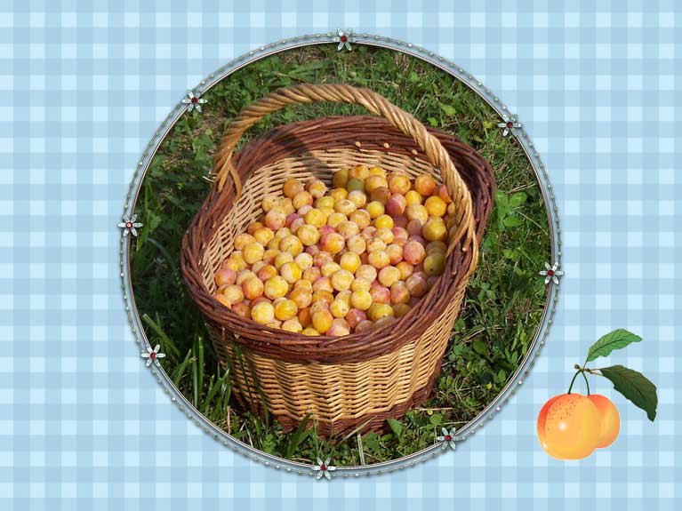 Confiture de mirabelles