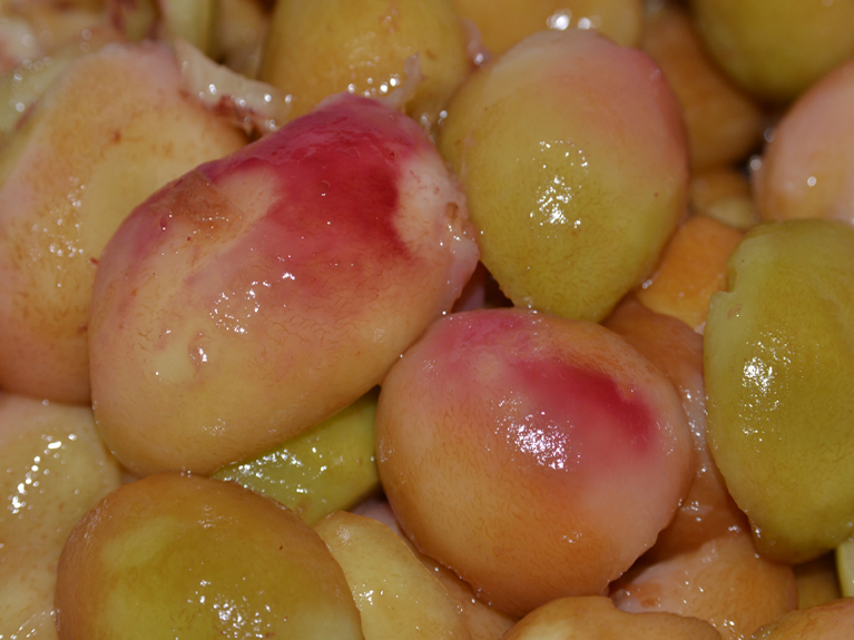 Confiture de peche de vigne